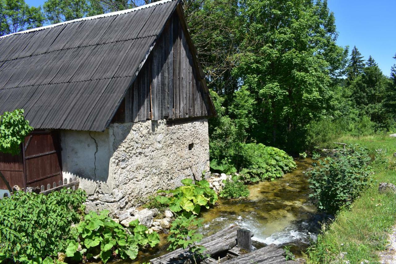 Plitvice Panta Rei Guest House Plitvicka Jezera Bagian luar foto